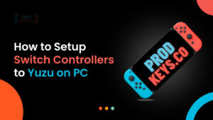 Connect Switch Controllers to Yuzu on PC